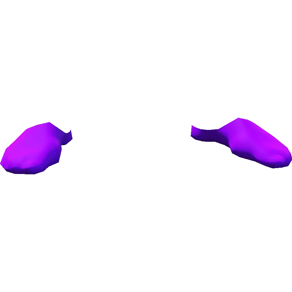 Носки 'Следочки'