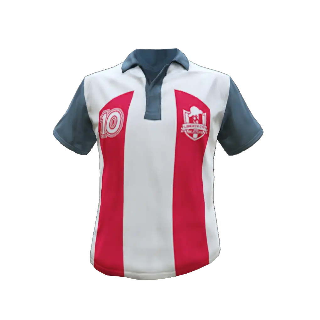 Футболка #24