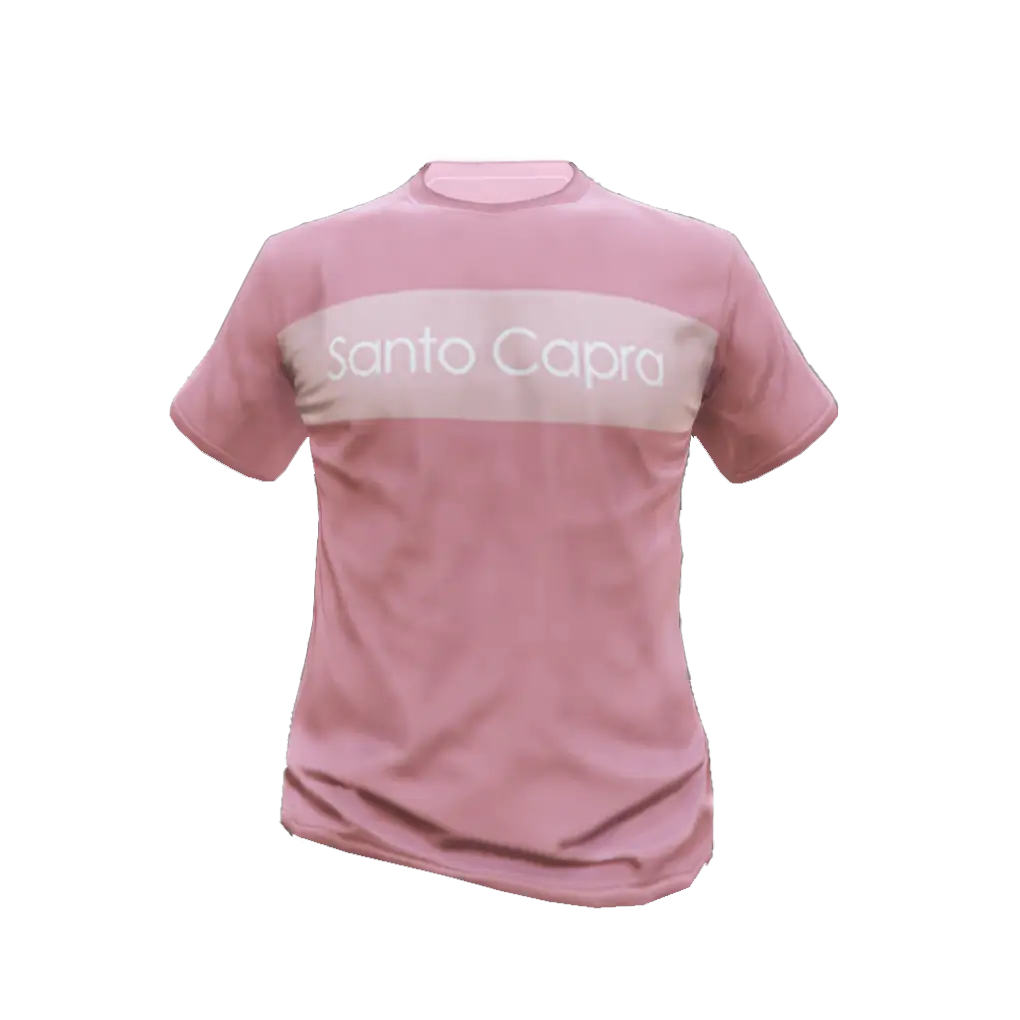 Футболка #25