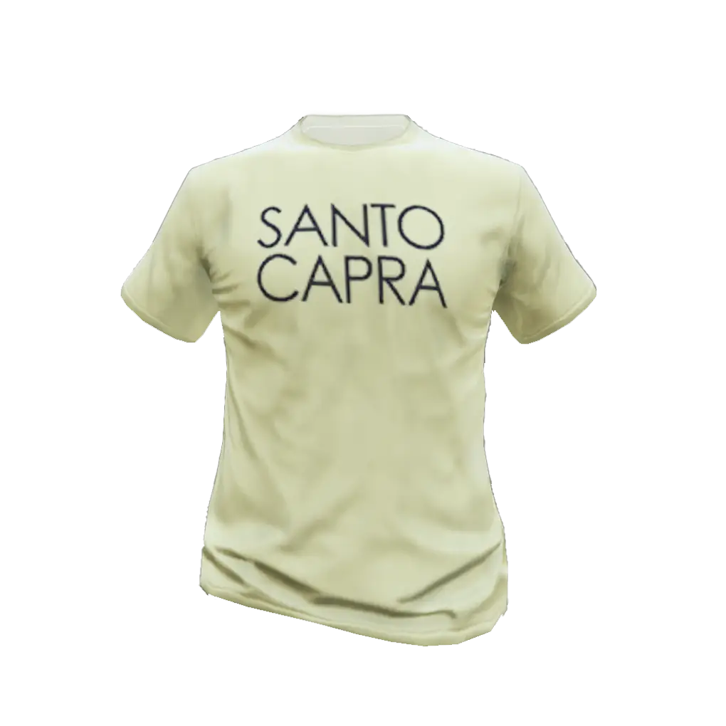 Футболка #25