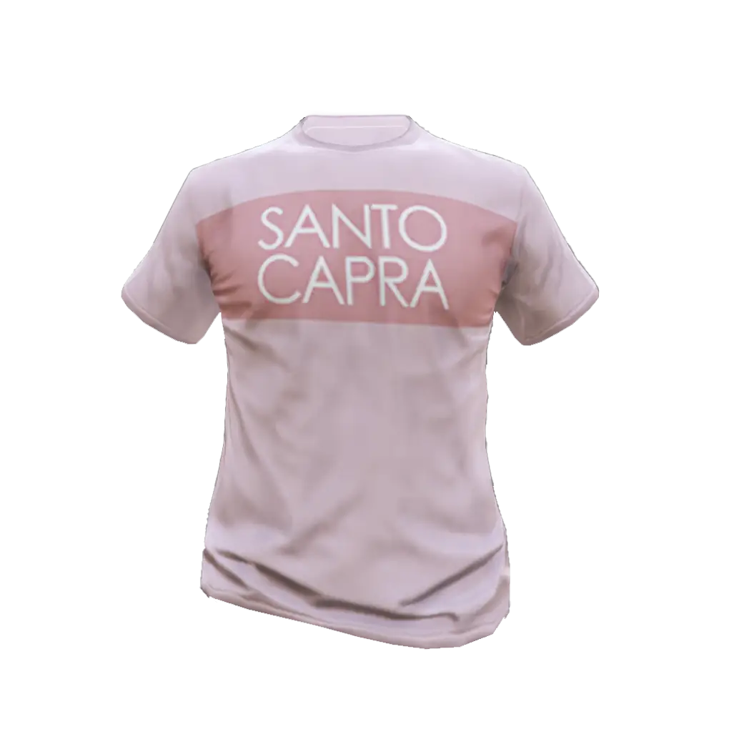 Футболка #25