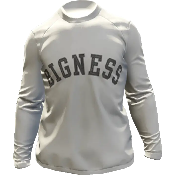 Свитшот 'Bigness'