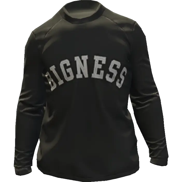 Свитшот 'Bigness'